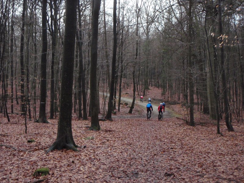 Waldtour 055